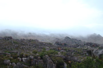 Misty Mountains View