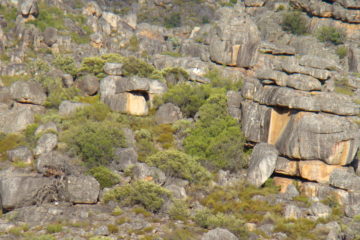 Mountain Terrain