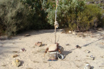 Vision Quest Circle