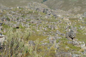 Rough Terrain