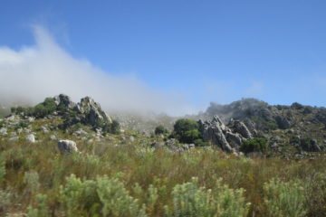 Misty Mountain