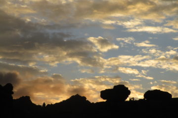 Sundown Shadow