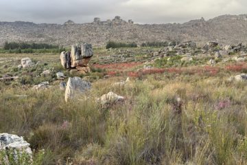 Wilderness